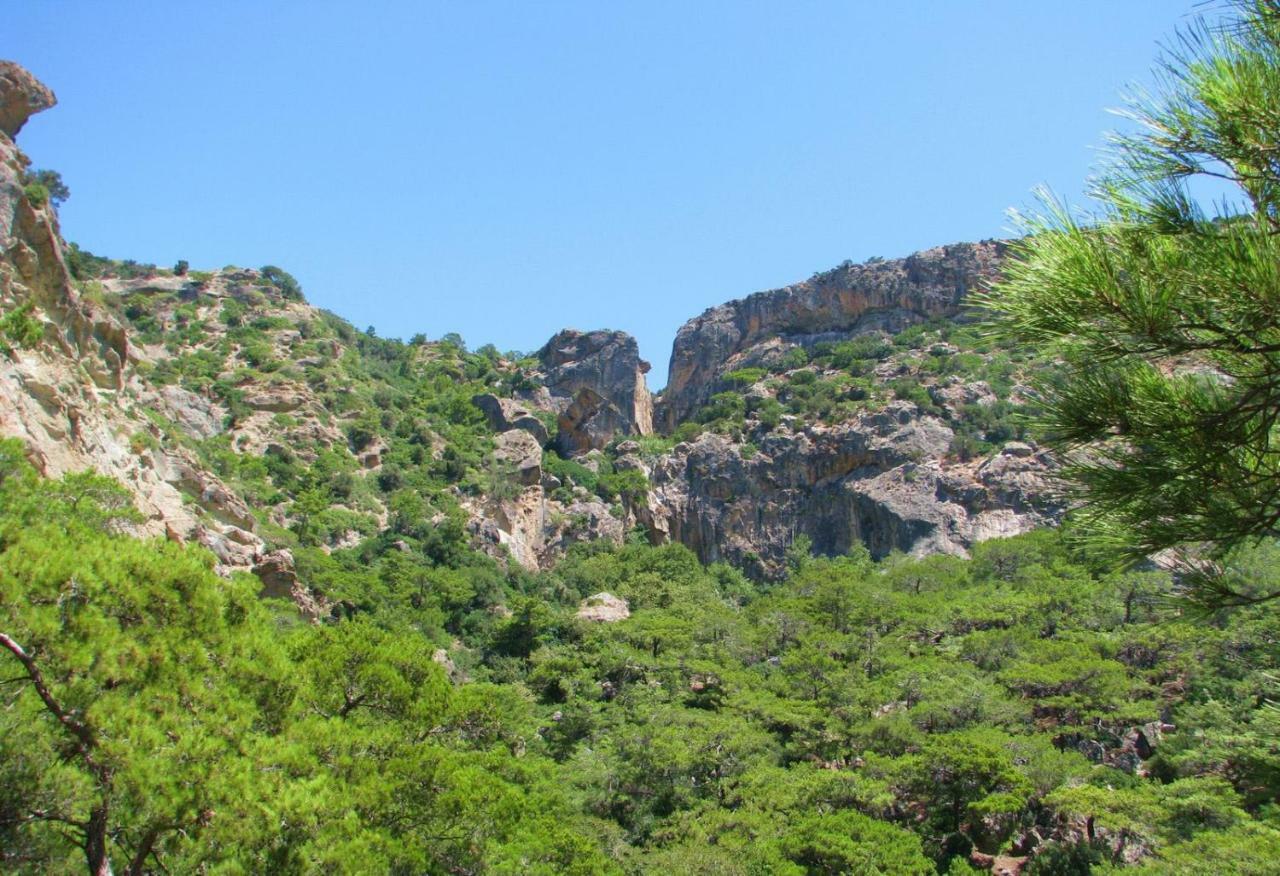 Villa Kalliopi Koutsounári Bagian luar foto