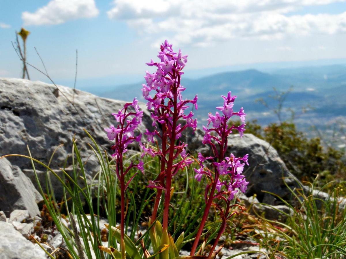 Villa Kalliopi Koutsounári Bagian luar foto